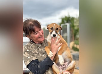 quirliger freundlicher TOFU sucht liebevolles Zuhause