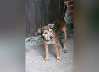 RANA - liebt das Zusammensein mit uns Menschen!