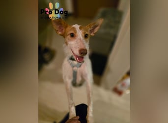 Lilo, einfach zum verlieben