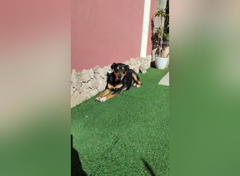 Emy: „Jetzt muß es um mich gehen!“