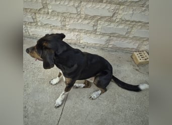 Arturo - junger Gutelaune-Bub