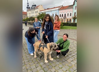 Tolle Bonnie möchte eine liebe Familie