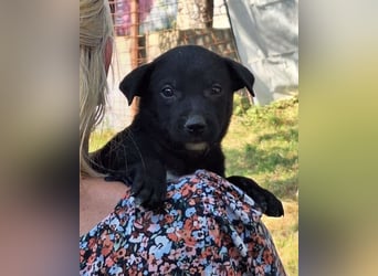 Kleine Luna ❤️ sanft, lieb + so neugierig