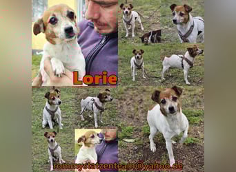 Lorie hat ein entspanntes Wesen