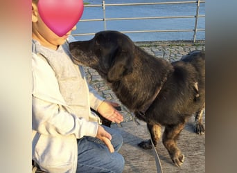 Traumwesen Senka wartet in Bingen
