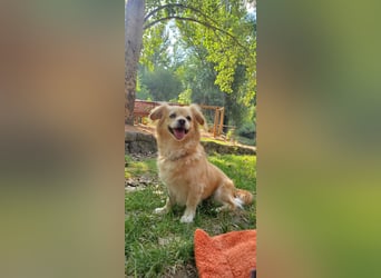 Luna, hofft auf ihre 2. Chance