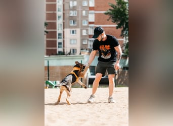 Besondere Deya sucht warmes Körbchen