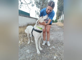 BLANCA