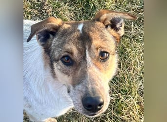 Aufgeschlossene Freya sucht liebe Familie