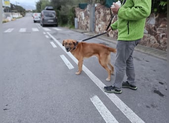 Billy: ein Leben auf 20 qm²