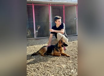 Karma hat das Schicksal zu uns geführt 