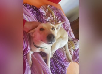 Mila, erwachsene Frau der vielen Facetten