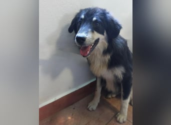 LeeLoo braucht ganz viel Liebe