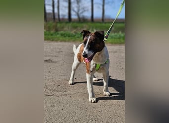 Loki, 01.2022 geboren, 32cm wünscht sich endlich ein eigenes Körbchen