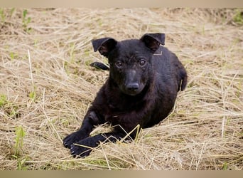 Sally – kleine Frohnatur sucht großes Herz ❤️