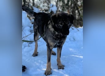 Saga ❤️ super lieb & menschenbezogen!