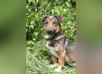 Zauberhafte kleine Henriette wünscht sich ein Zuhause