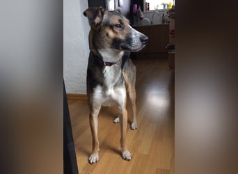 Rudi - Klarer Typ sucht klare(n) Partner fürs Leben! (84152 Mengkofen)