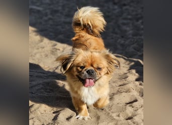 Bumble wurde sich selbst überlassen