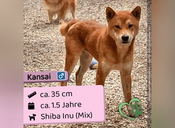 Kansai