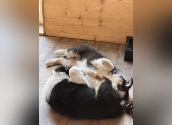 Meine Koffer sind gepackt