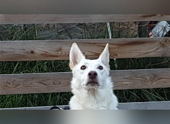 LILI und LOLI, Schwesternpaar in Süddeutschland