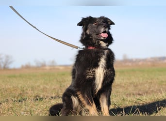 Unsere Wuschelmaus Astra