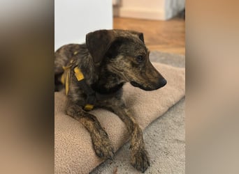 Paco: freut sich über Besuch in Bremen