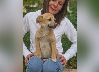 Zoe – so klein, wie knuffig