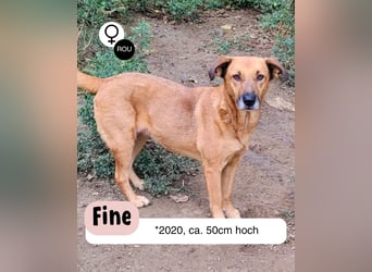 Zeigst du FINE die Welt?