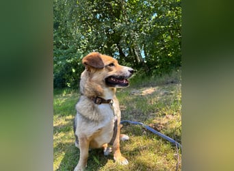 Bunny sucht ein tolles Zuhause