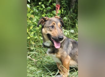 Zauberhafte kleine Henriette wünscht sich ein Zuhause