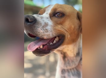 Cooper, hofft auf eine Chance