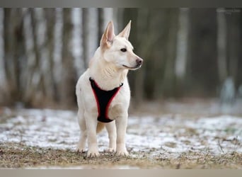 Vorsichtiger Theo sucht seine Familie
