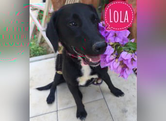 Lola sucht aktive Familie