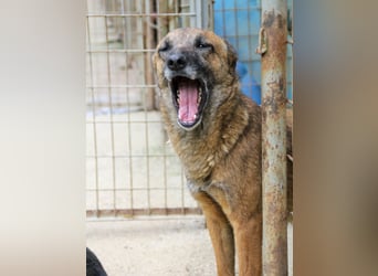Kuckuck, zauberhafte NISHA sucht liebevolle Familie