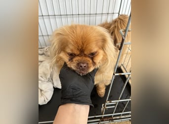 Milo freut sich auf Deinen Besuch