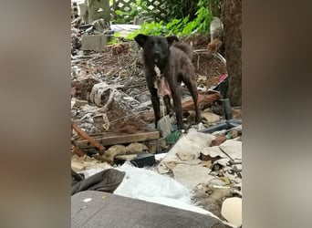Mateo: sucht Geborgenheit