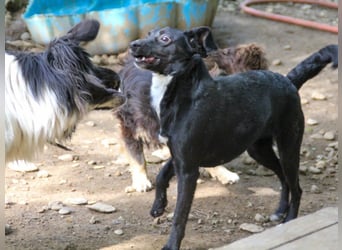 Kuckuck, zauberhafte FIONA sucht liebevolle Familie