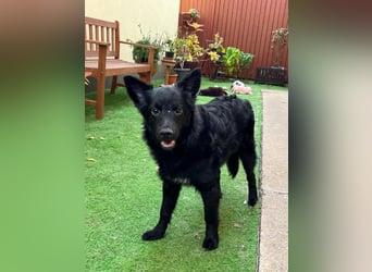 Fiona SR– Kleine Entdeckerin sucht liebevolles Zuhause