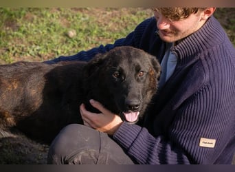 Mateo: sucht Geborgenheit