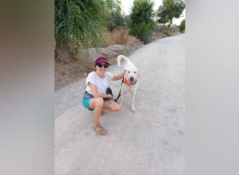 BLANCA