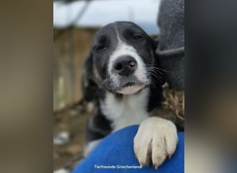Aufgeschlossene Carlotta sucht Traumfamilie!