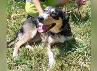 DAPHNE ist super lieb