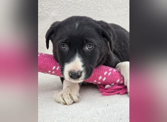 Nina, eine von 7 wundervollen Zwergen