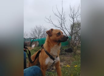 Jungspund Dylan sucht sein Glück - wer zeigt ihm die Welt