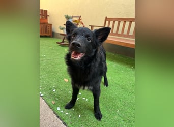 Fiona SR– Kleine Entdeckerin sucht liebevolles Zuhause