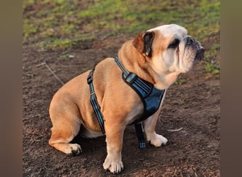 Debby ist freundlich und selbstbewusst