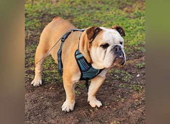 Debby ist freundlich und selbstbewusst