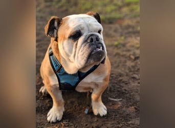 Debby ist freundlich und selbstbewusst